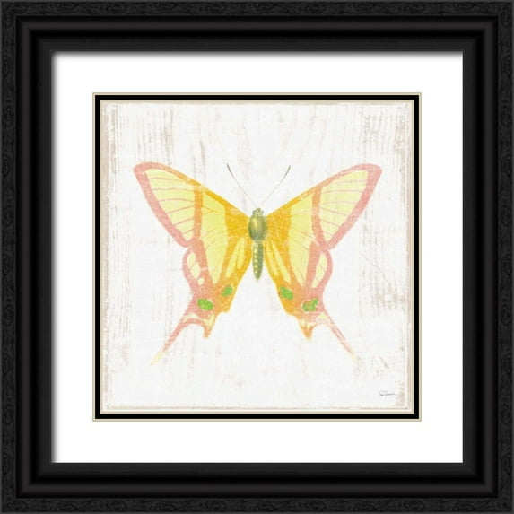 Schlabach, Sue 12x12 Black Ornate Wood Framed with Double Matting Museum Art Print Titled - White Barn Butterflies IV