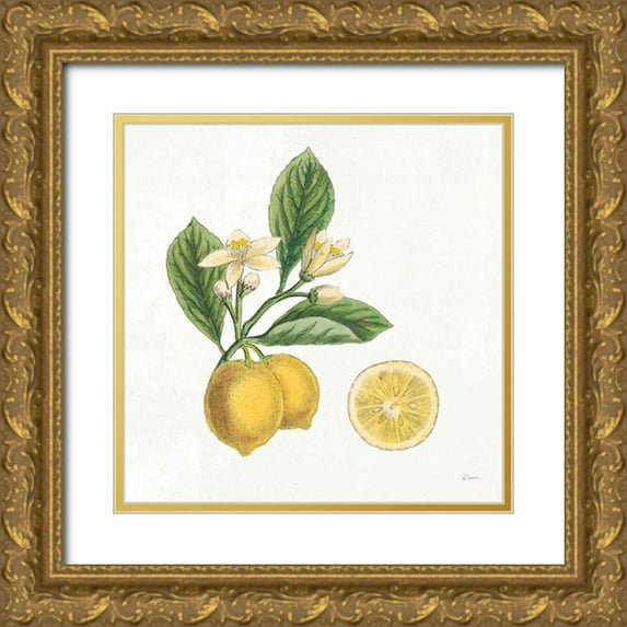 Schlabach, Sue 12x12 Gold Ornate Wood Framed with Double Matting Museum Art Print Titled - Classic Citrus I