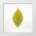 thumbnail image 1 of Schlabach, Sue 12x12 White Modern Wood Framed Museum Art Print Titled - Autumn Colors IV, 1 of 4