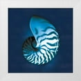 thumbnail image 1 of Schlabach, Sue 12x12 White Modern Wood Framed Museum Art Print Titled - Cyanotype Sea I, 1 of 4