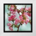 thumbnail image 1 of Schlabach, Sue 12x12 White Modern Wood Framed Museum Art Print Titled - Quince Blossoms II, 1 of 4