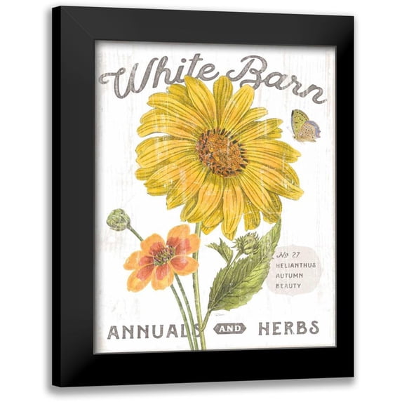 Schlabach, Sue 12x14 Black Modern Framed Museum Art Print Titled - White Barn Flowers I