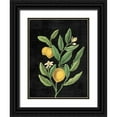 thumbnail image 1 of Schlabach, Sue 12x14 Black Ornate Wood Framed with Double Matting Museum Art Print Titled - Classic Citrus V Black No Words, 1 of 4