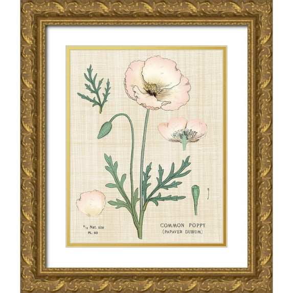 Schlabach, Sue 12x14 Gold Ornate Wood Framed with Double Matting Museum Art Print Titled - Poppy Chart Linen
