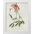 thumbnail image 1 of Schlabach, Sue 12x14 White Modern Wood Framed Museum Art Print Titled - Joyful Tidings V, 1 of 4
