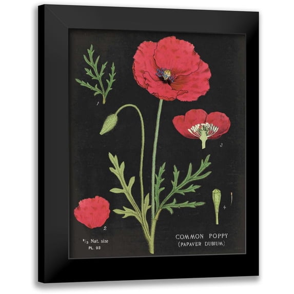 Schlabach, Sue 15x18 Black Modern Framed Museum Art Print Titled - Poppy Chart
