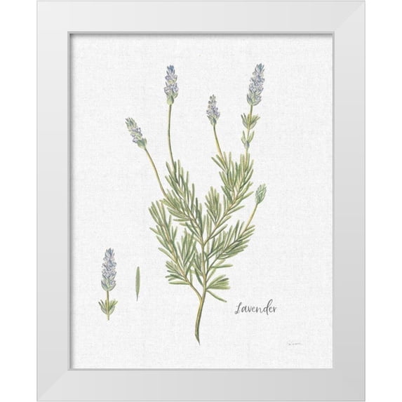 Schlabach, Sue 15x18 White Modern Wood Framed Museum Art Print Titled - Cottage Herbs II Linen