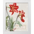 thumbnail image 1 of Schlabach, Sue 15x18 White Modern Wood Framed Museum Art Print Titled - Joyful Tidings I, 1 of 4