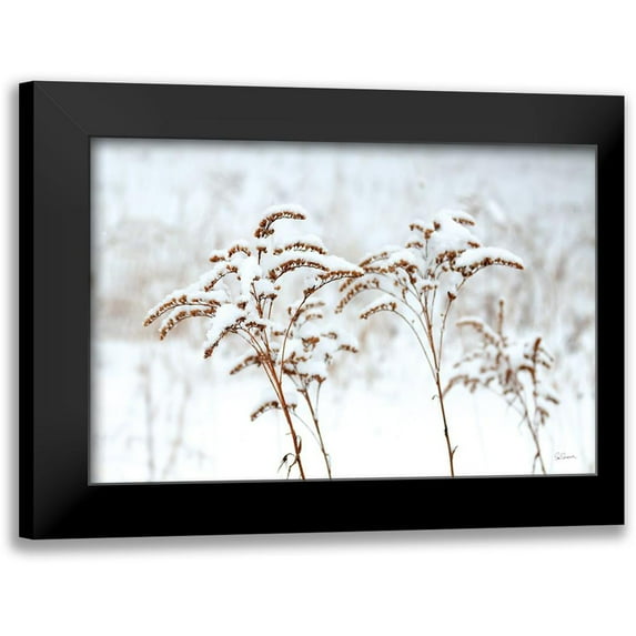 Schlabach, Sue 18x13 Black Modern Framed Museum Art Print Titled - Snowy Gardens