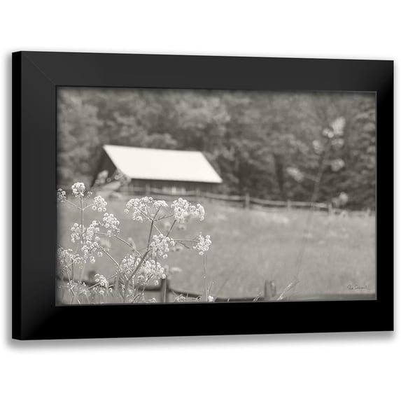 Schlabach, Sue 18x13 Black Modern Framed Museum Art Print Titled - Summer Farm III BW