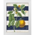 thumbnail image 1 of Schlabach, Sue 19x24 White Modern Wood Framed Museum Art Print Titled - Classic Citrus VI Navy Shiplap NW, 1 of 4