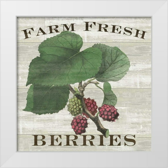 Schlabach, Sue 20x20 White Modern Wood Framed Museum Art Print Titled - Farm Fresh Raspberries