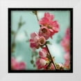 thumbnail image 1 of Schlabach, Sue 20x20 White Modern Wood Framed Museum Art Print Titled - Quince Blossoms III, 1 of 4