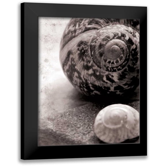 Schlabach, Sue 20x24 Black Modern Framed Museum Art Print Titled - New Discoveries No Border
