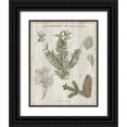thumbnail image 1 of Schlabach, Sue 20x24 Black Ornate Wood Framed with Double Matting Museum Art Print Titled - Woodland Chart II, 1 of 4