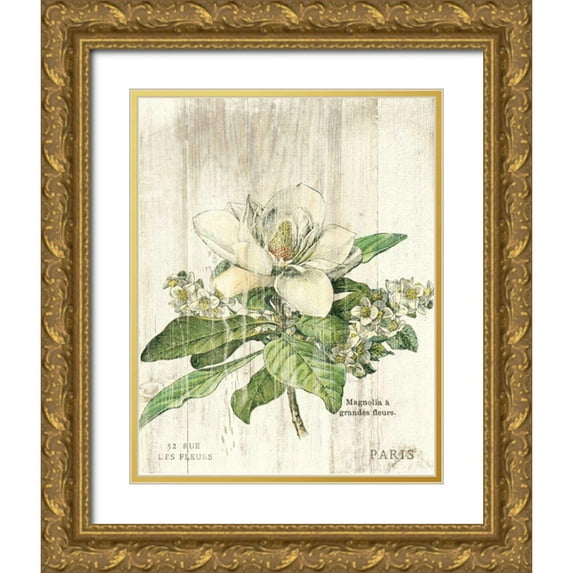 Schlabach, Sue 20x24 Gold Ornate Wood Framed with Double Matting Museum Art Print Titled - Magnolia de Printemps v2