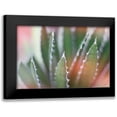 thumbnail image 1 of Schlabach, Sue 24x17 Black Modern Framed Museum Art Print Titled - Dream Desert IV, 1 of 5