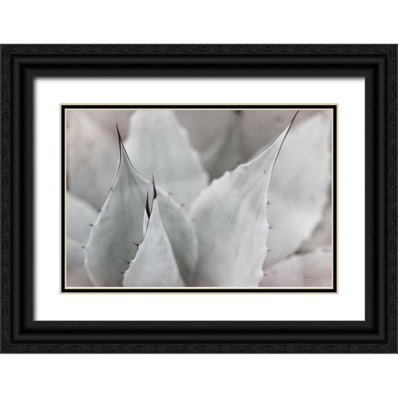 Schlabach, Sue 24x17 Black Ornate Wood Framed with Double Matting Museum Art Print Titled - Dream Desert VI BWC