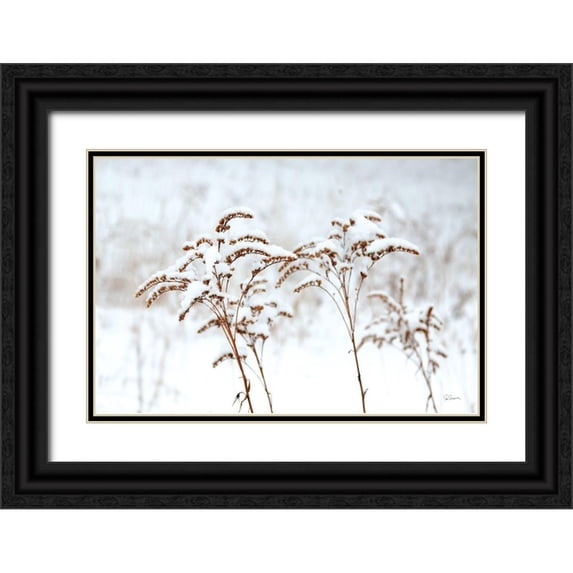 Schlabach, Sue 24x17 Black Ornate Wood Framed with Double Matting Museum Art Print Titled - Snowy Gardens