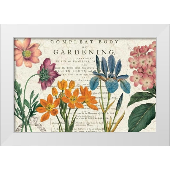 Schlabach, Sue 24x17 White Modern Wood Framed Museum Art Print Titled - Botany