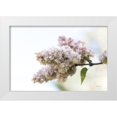 thumbnail image 1 of Schlabach, Sue 24x17 White Modern Wood Framed Museum Art Print Titled - Pale Lilacs II, 1 of 4