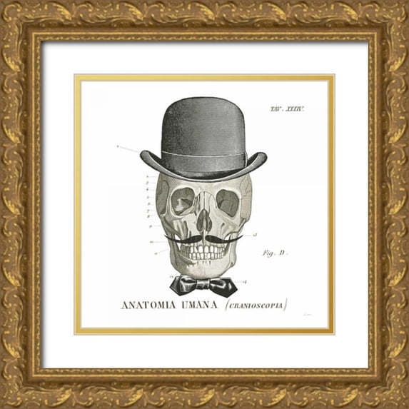 Schlabach, Sue 26x26 Gold Ornate Wood Framed with Double Matting Museum Art Print Titled - Dandy Bones IV