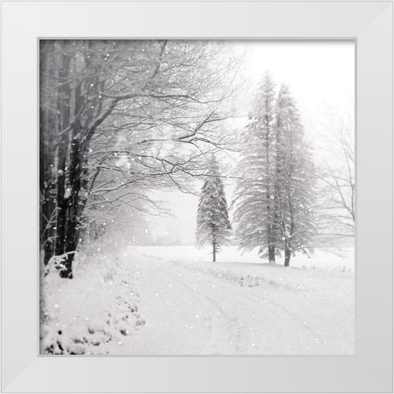 Schlabach, Sue 26x26 White Modern Wood Framed Museum Art Print Titled - Let it Snow II BW No Words