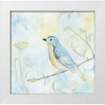 thumbnail image 1 of Schlabach, Sue 26x26 White Modern Wood Framed Museum Art Print Titled - Sketched Songbird II, 1 of 4