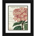 thumbnail image 1 of Schlabach, Sue 26x32 Black Ornate Wood Framed with Double Matting Museum Art Print Titled - Bicolor Phlox Botany, 1 of 4