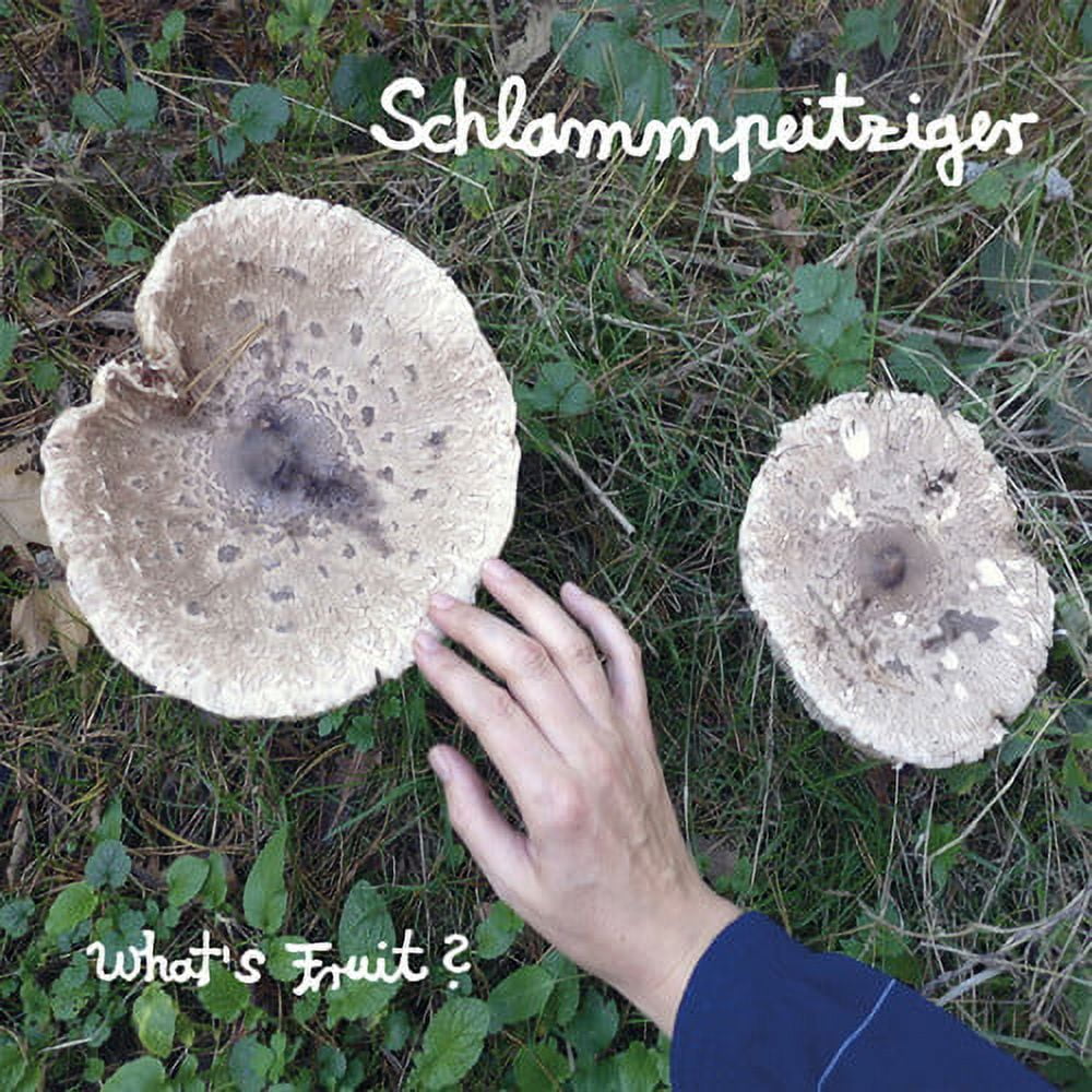 Schlammpeitziger - Whats Fruit - Pop Rock - CD