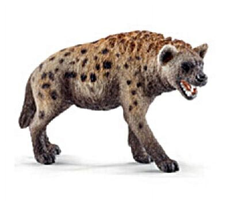 Dog Breeds That Look Like Hyenas | americanlycetuffschool.edu.pk
