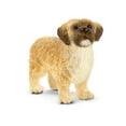 thumbnail image 1 of Schleich Farm World Shih Tzu Malteser Mix Toy Figurine, 1 of 4