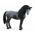 thumbnail image 1 of Schleich North America  Pura Raza Mare Toy Figurine, Gray & Black - Pack of 5, 1 of 1