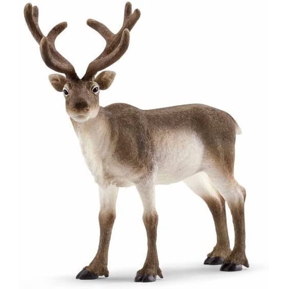 Schleich Wild Life - Reindeer Figurine - Realistic Animal Figure - Kids and Toddlers Ages 3+