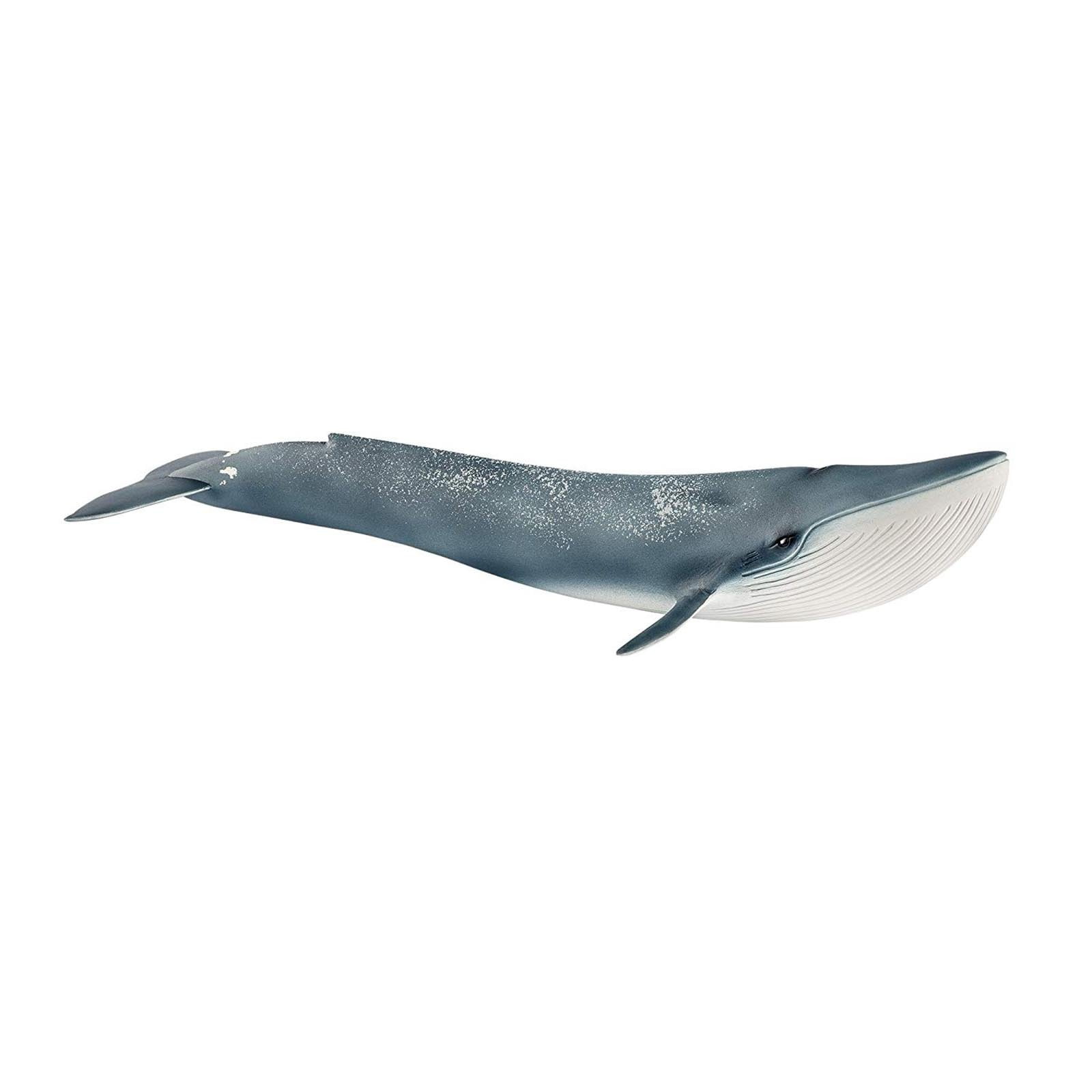 Schleich Wild Life - Realistic Blue Whale Figurine - Authentic and Highly Detailed Aquatic Animal Toy - Durable Ocean Animal Toys for Kids Ages 3+