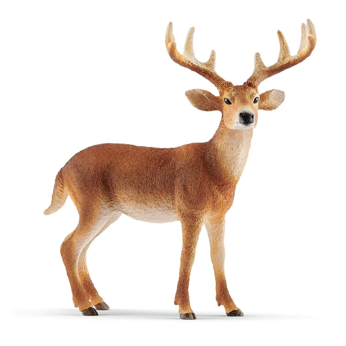 Schleich White-Tailed Buck Figurine, Handcrafted Deer Collectible Toy ...