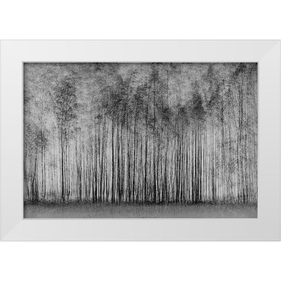 Schleicher-Schwarz, Roswitha 14x11 White Modern Wood Framed Museum Art Print Titled - Impenetrable Forest