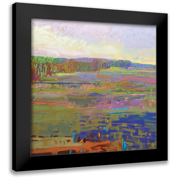 Schmidt, Jane 12x12 Black Modern Framed Museum Art Print Titled - Color Field 24