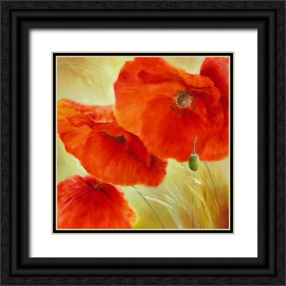 Schmucker, Annette 20x20 Black Ornate Wood Framed with Double Matting Museum Art Print Titled - Drei Mal Mohn