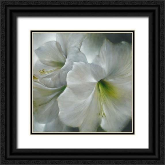 Schmucker, Annette 26x26 Black Ornate Wood Framed with Double Matting Museum Art Print Titled - Weisse Amaryllis