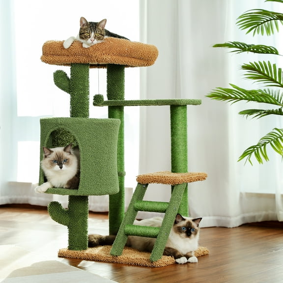 Schnappi Desert Cactus Cat Tree Ladder Multi Levels Condo