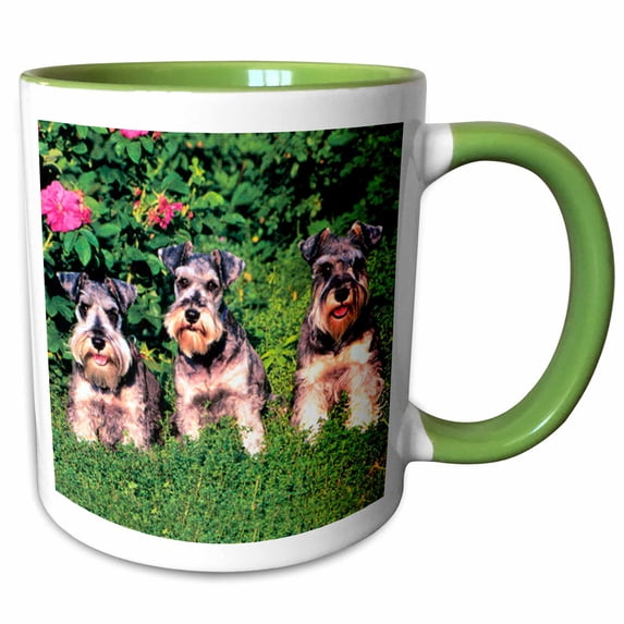 3drose, Schnauzer, 11oz Two-tone Green Mug