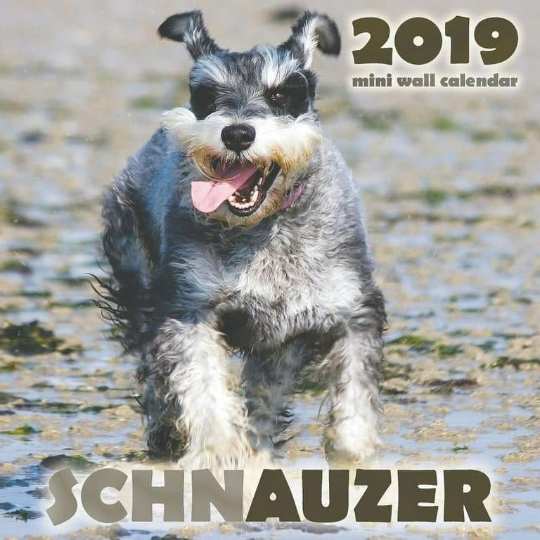 National Schnauzer Day 2025 Calendar shani carmine
