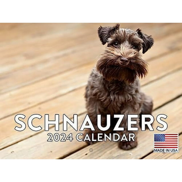 Schnauzer Calendar 2024