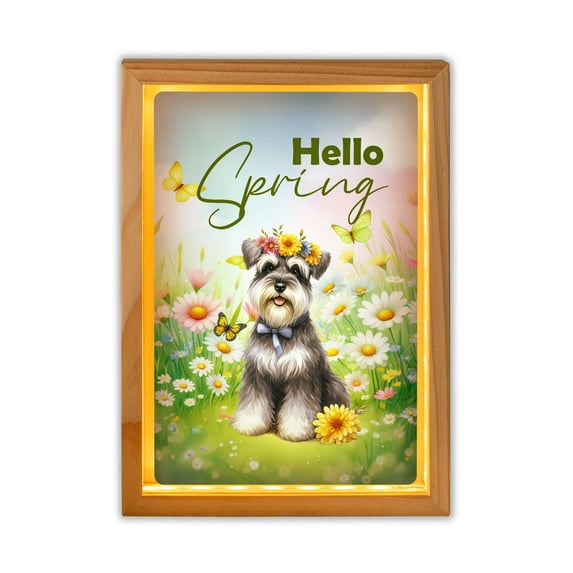 Schnauzer Hello Spring Time Flower Floral Nature Acrylic Plaque with Wood Photo Frame Box Miniature Schnauzer Dog Lover Light Box - 02031