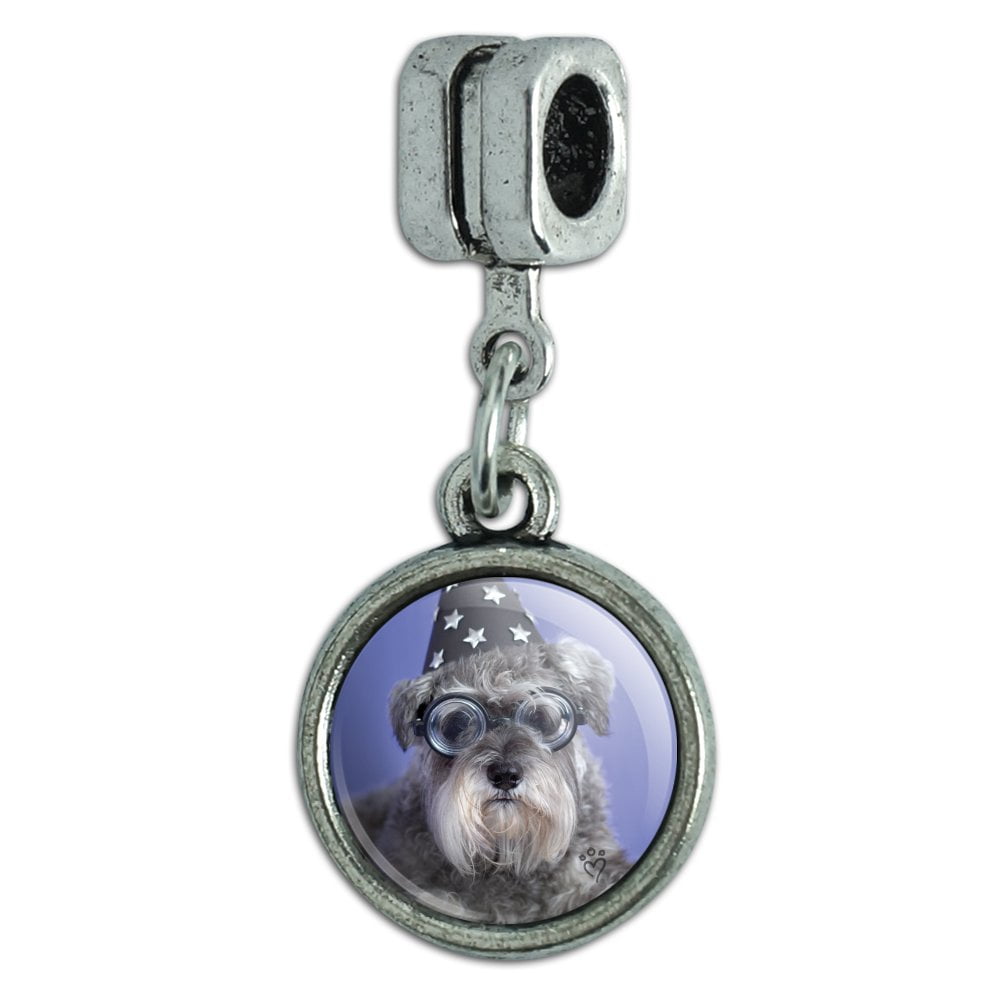 Miniature schnauzer pandora charm deals
