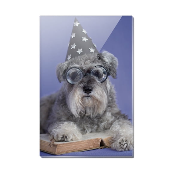 Schnauzer Puppy Dog Wizard Glasses Spell Book Rectangle Acrylic Fridge Refrigerator Magnet