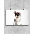 thumbnail image 1 of Schnauzer With Sunglasses Poster -Image by Shutterstock, 1 of 2
