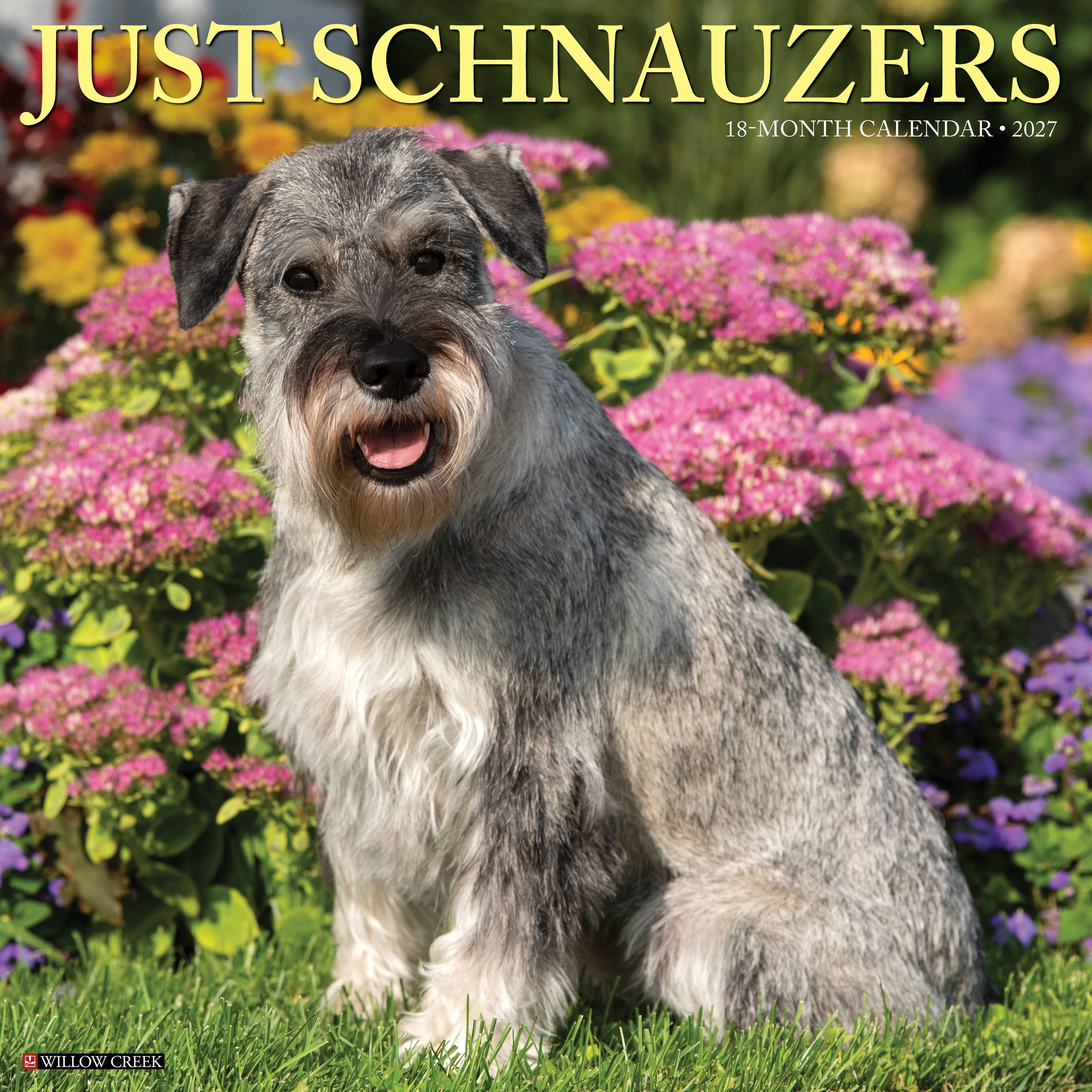Willow Creek Press, Schnauzers 2027 Wall Calendar