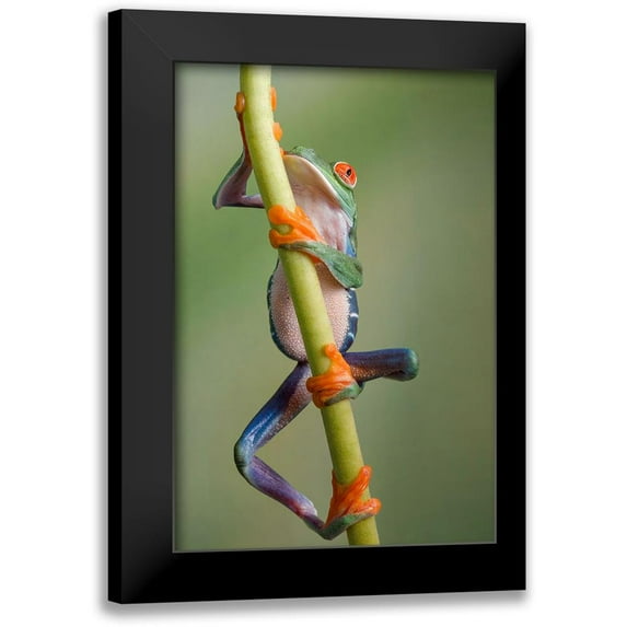 Schneider, Cheryl 13x18 Black Modern Framed Museum Art Print Titled - Ascending